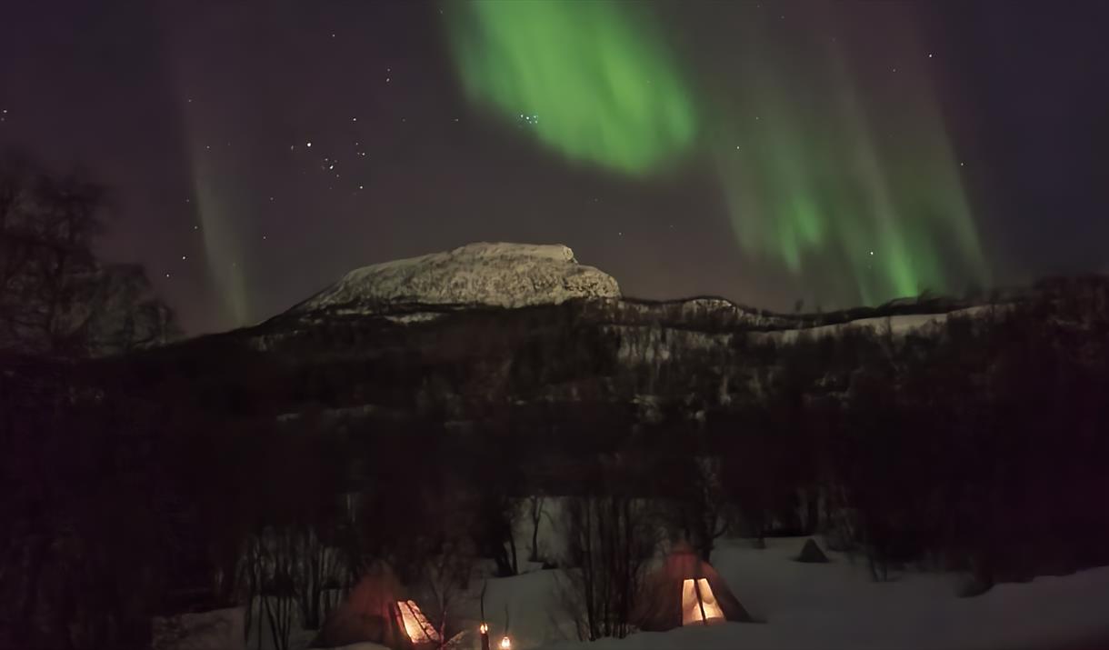 Nordlysjakt med Explore Harstad